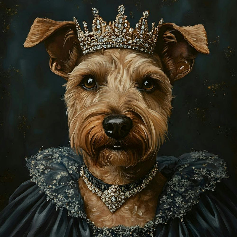 Regal Terrier 4