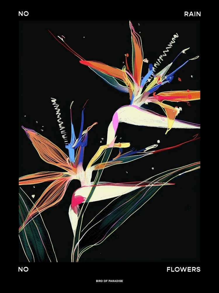 Ohne Regen keine Blumen Poster Paradiesvogel 1