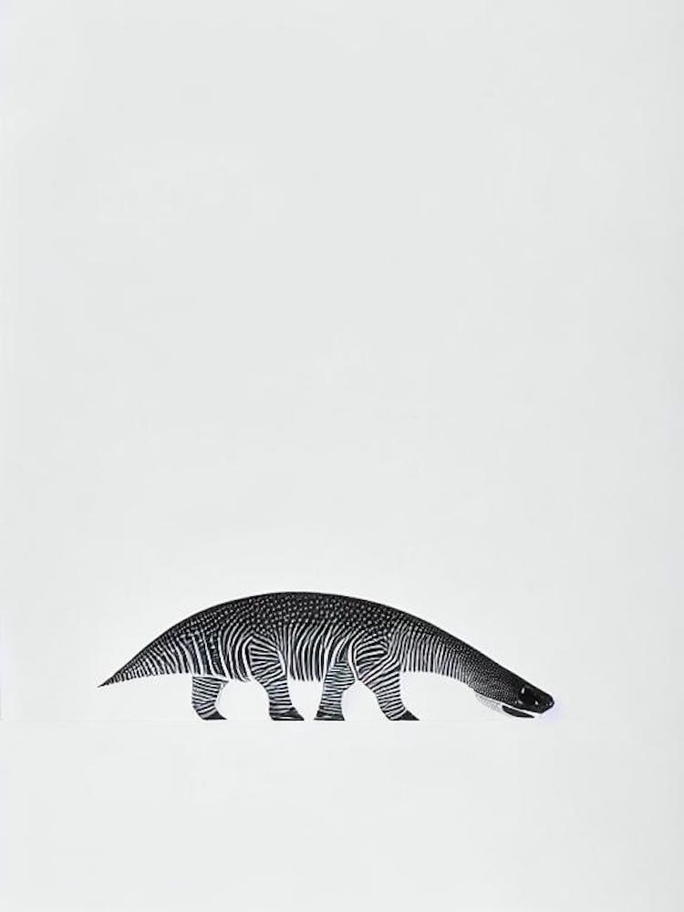 Dakosaurus Black & White Drawing