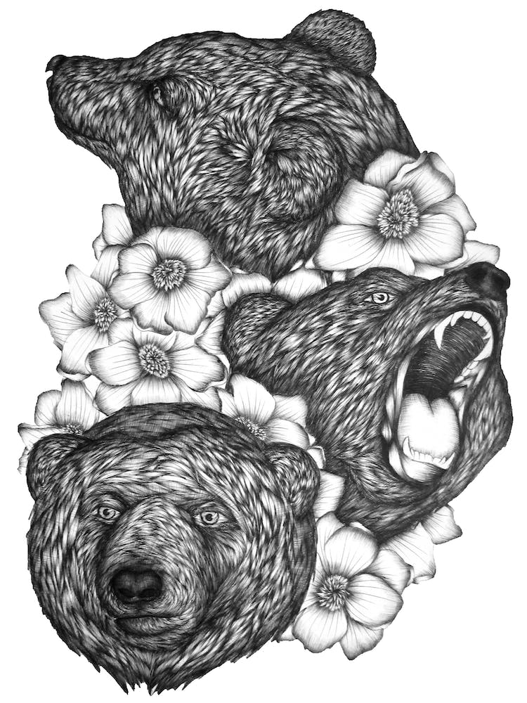 Bears In Bears