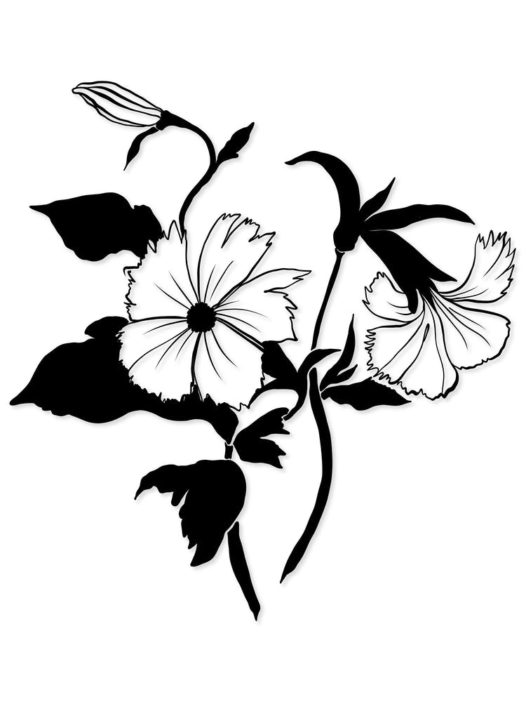 Schwarz-weiße minimalistische Blumen