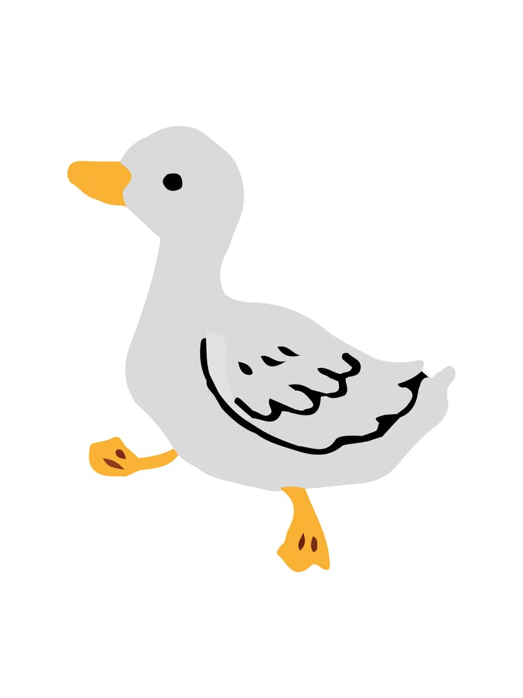Duck Playful Illustration