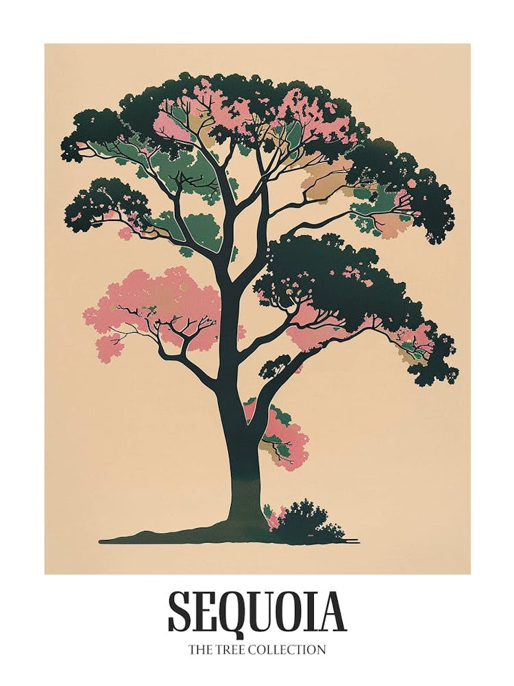 Sequoia Tree Colourful Illustration 3 Poster