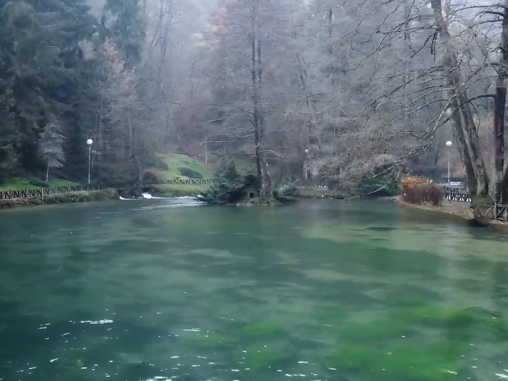 The Secret Of Life Is Air And Water