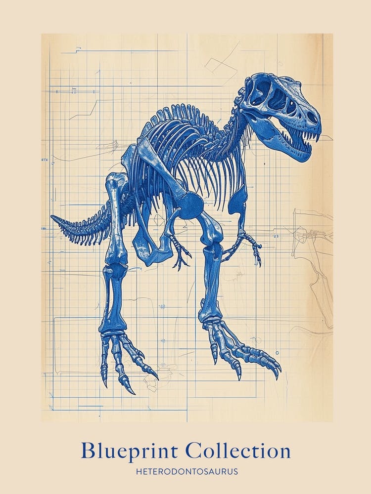 Heterodontosaurus Skeleton Blue Print Style Poster