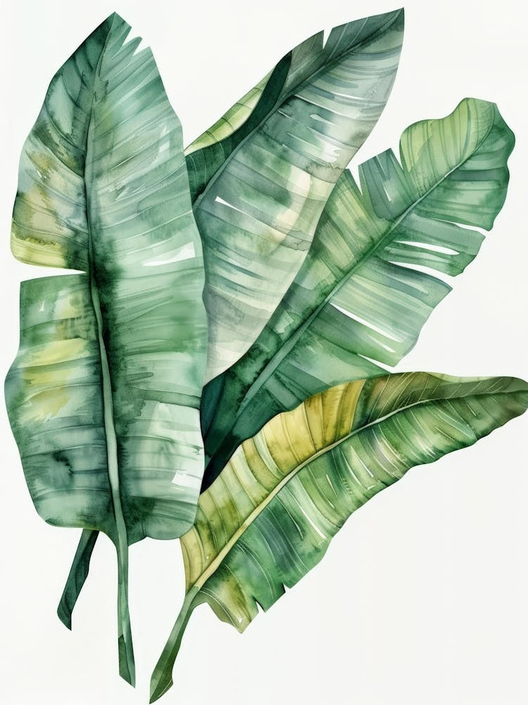 Banana Leaves 33