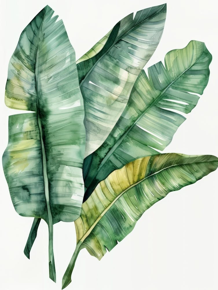 Banana Leaves 33