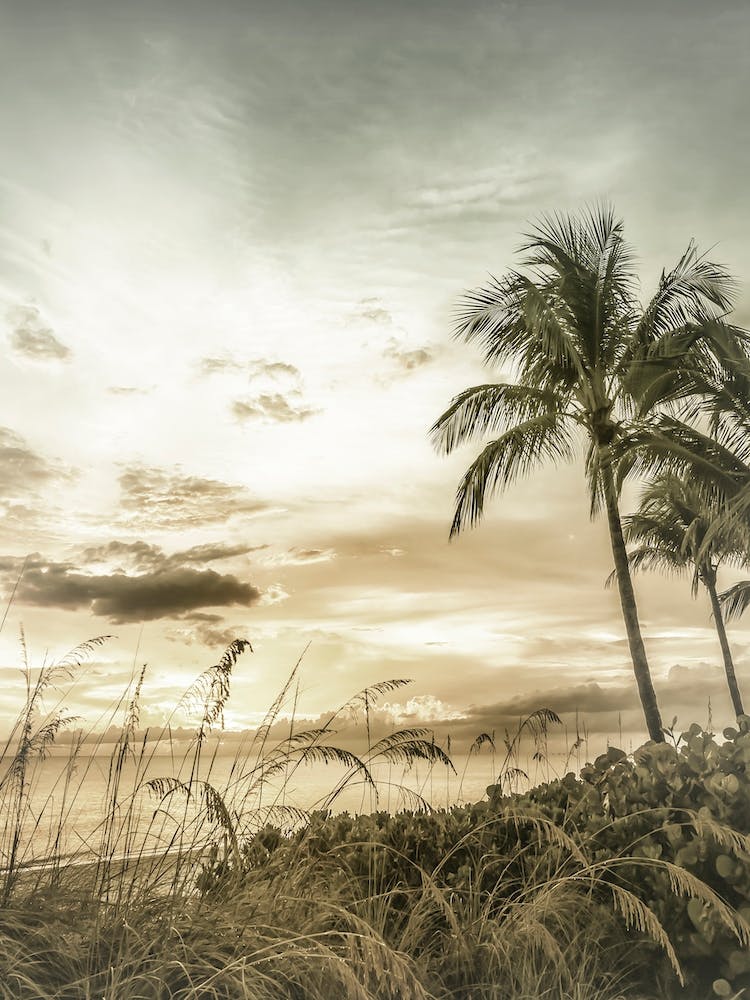 Bonita Beach Bright Vintage Sunset