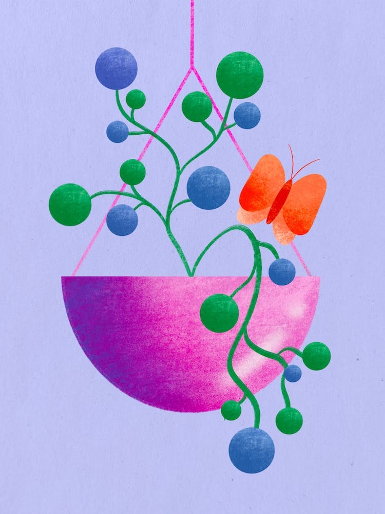 Hanging Plant