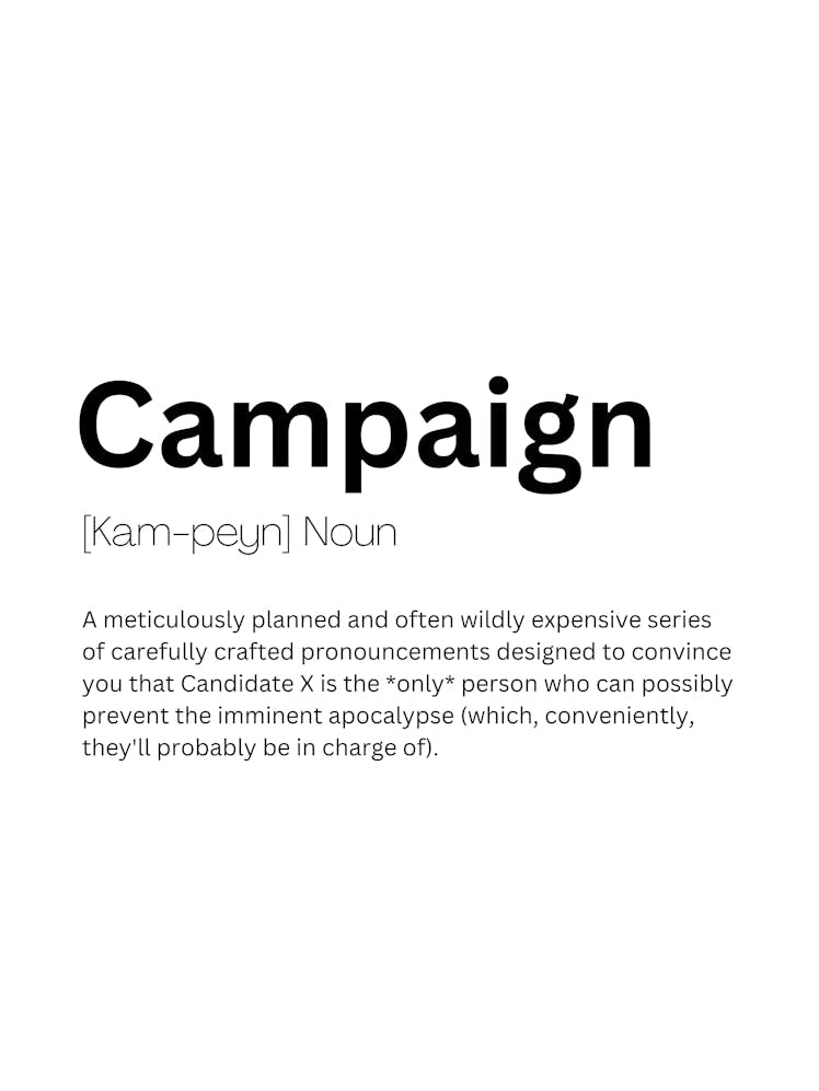 Campaign Definition Meaning