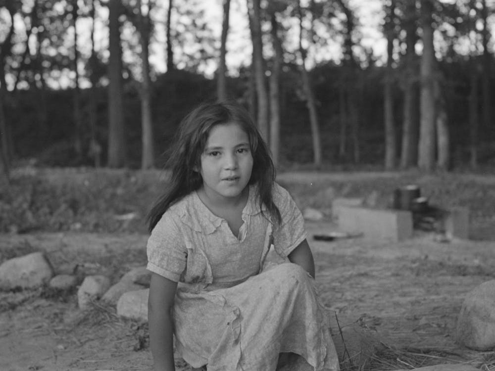 Untitled Photo, Possibly Related To Indian Girl, Daughter Of Blueberry Picker, Near Little Fork, Minnesota By Russell