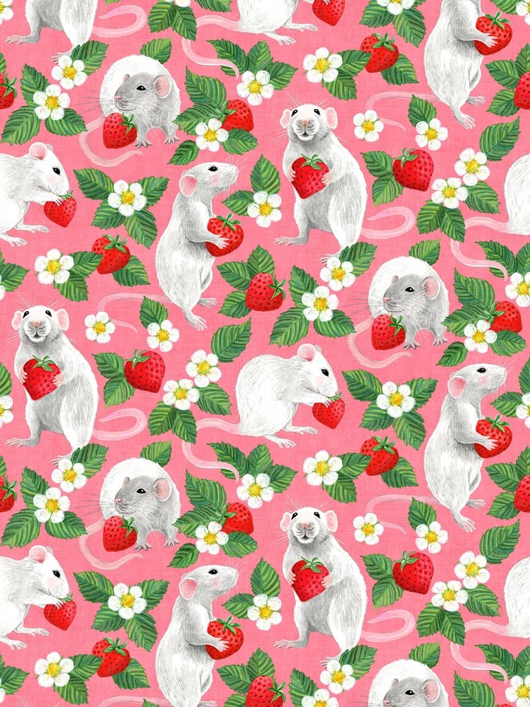 Rats Love Strawberries On Pink