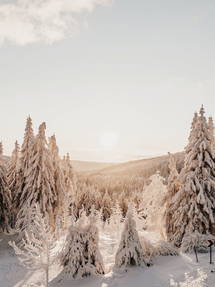 Warme Winterlandschaft