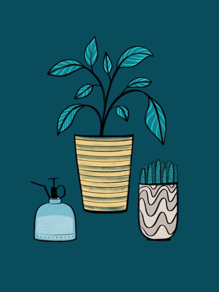 Potted Plants Hand-drawn