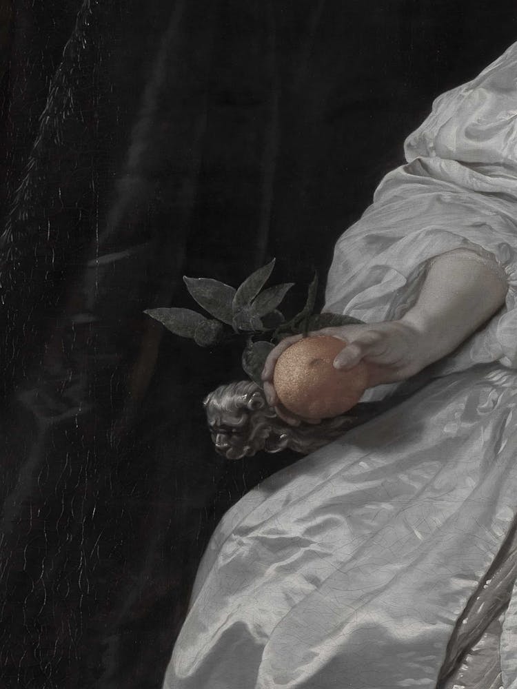 Portrait Of A Lady 3