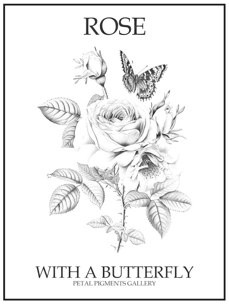 Rose With A Butterfly Line Drawing 2 Poster