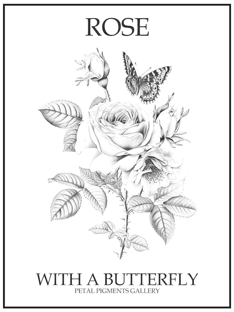 Rose With A Butterfly Line Drawing 2 Poster