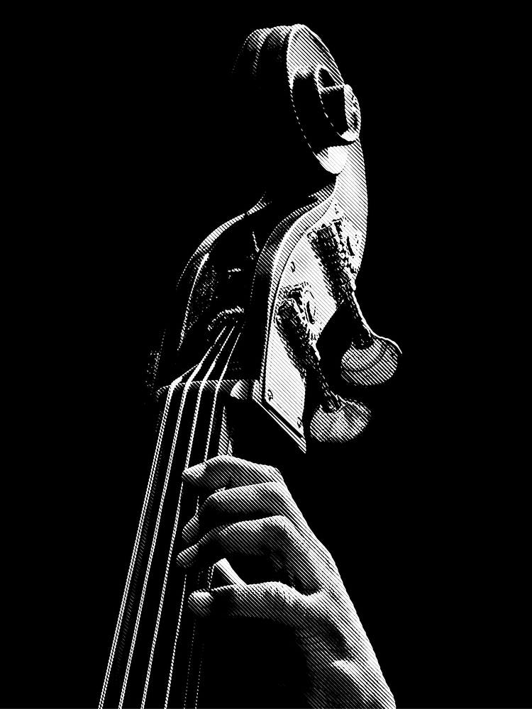 Cello Head Line Art Illustration