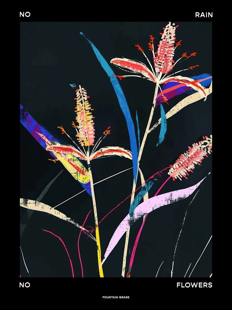 No Rain No Flowers Poster Fountain Grass 1