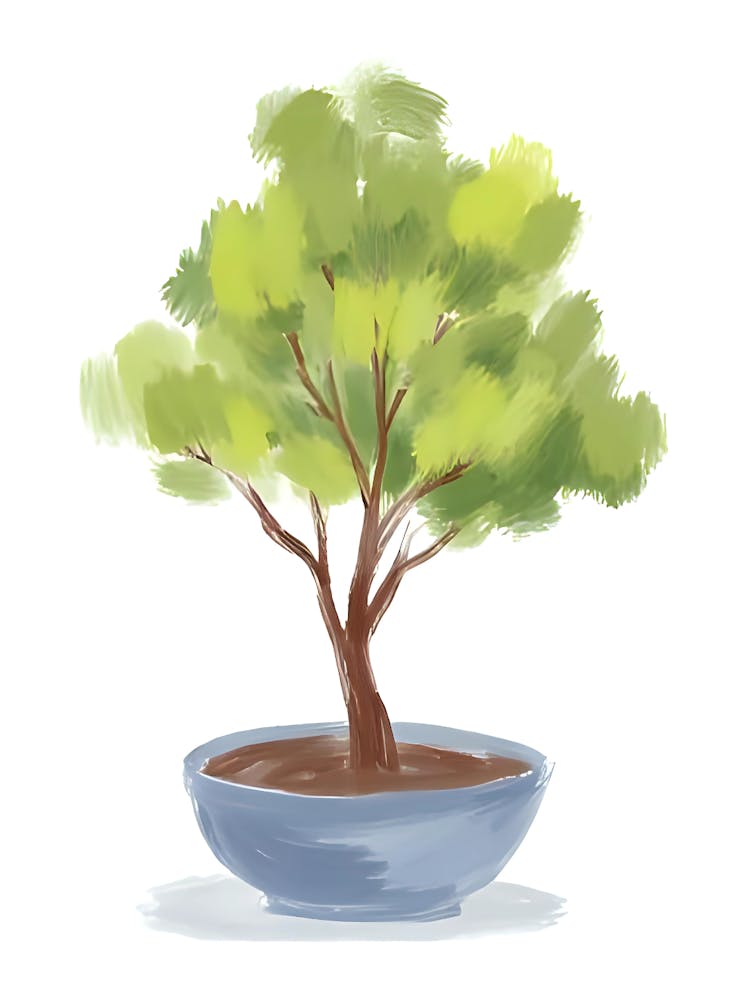Bonsai in Blue Pot