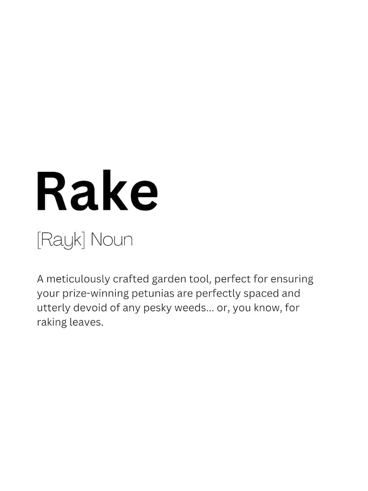 Rake Definition Meaning