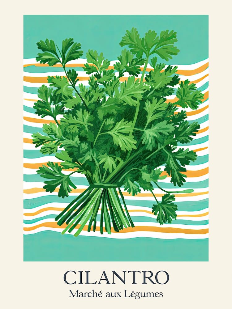 Marche Aux Legumes Cilantro Summer Illustration 12