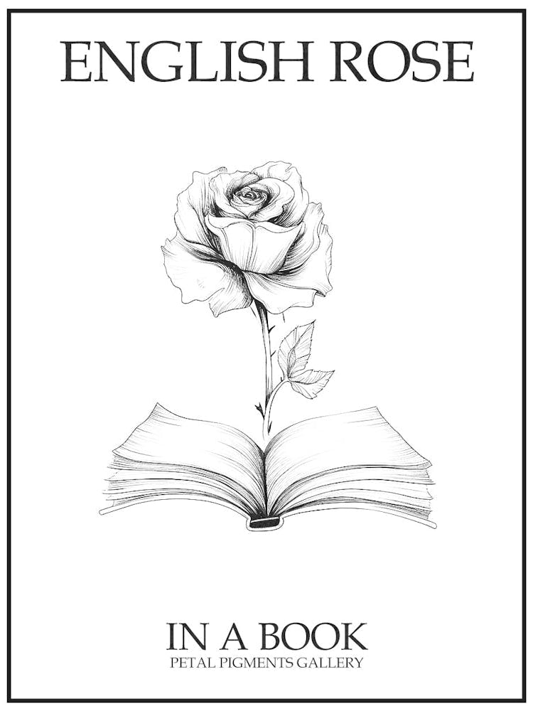 English Rose In A Book Line Drawing 3 Poster