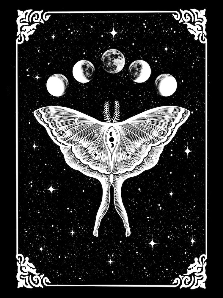 Lunar Moth Black