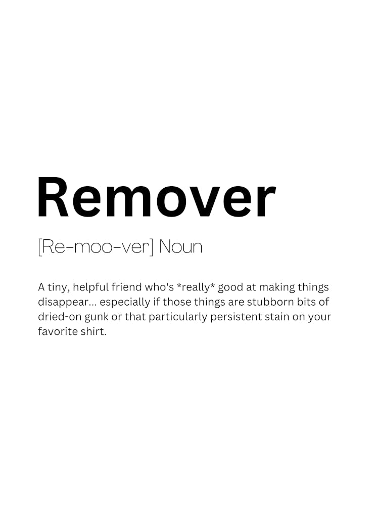 Remover Definition Meaning 1