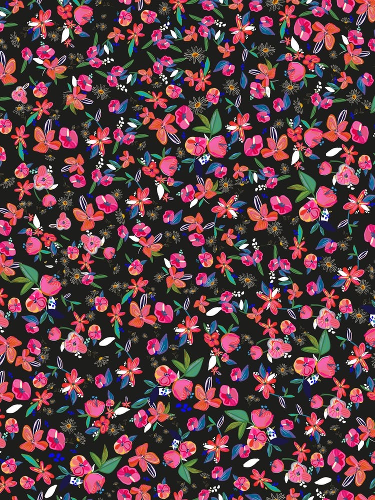 Colorful Pretty Daisies