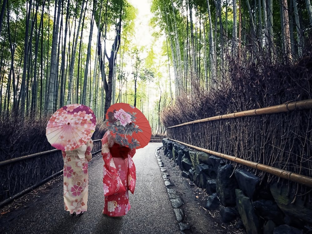 Bamboo Forest In Kyoto