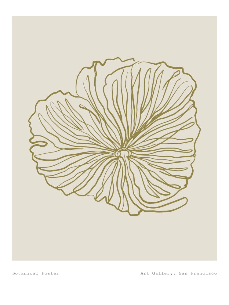 Harmonic lines no 11