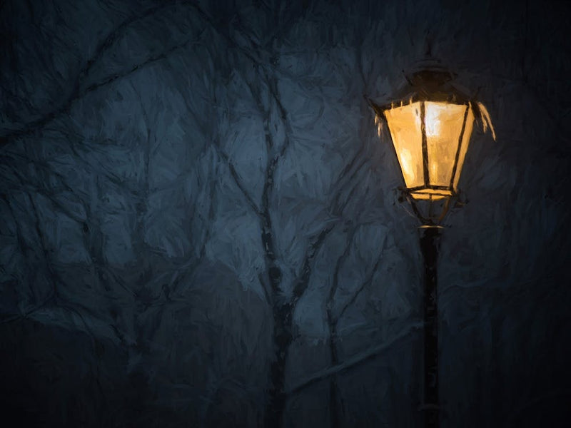 The Frozen Lamp