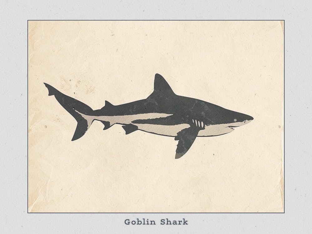 Goblin Shark Silhouette 6 Poster