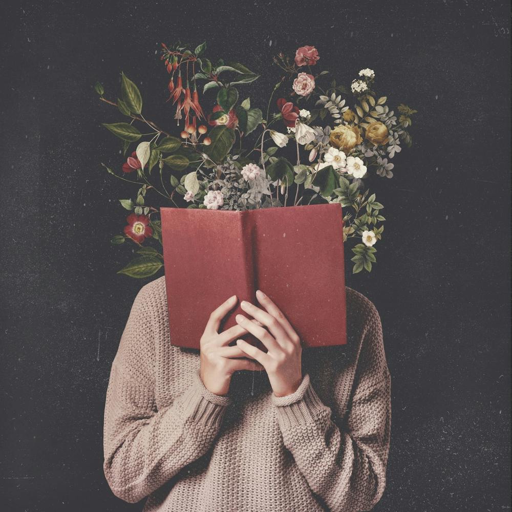 The Dreamer 2
