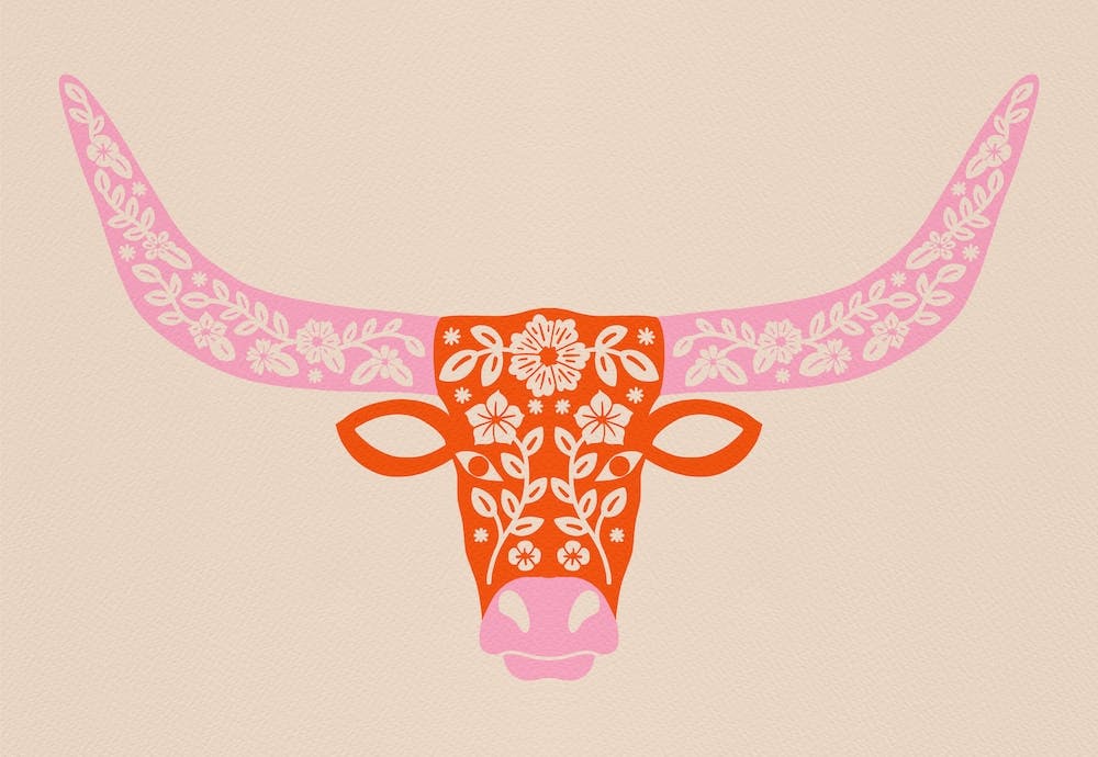 Floral Longhorn   Pink And Orange