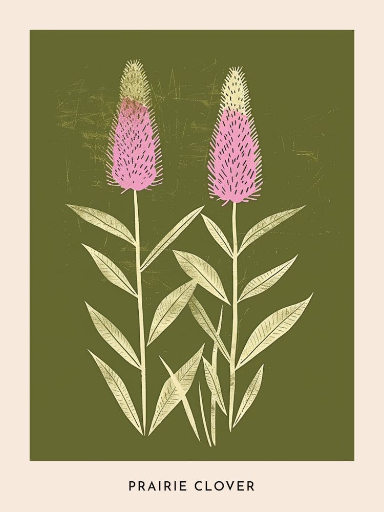 Pink & Green Prairie Clover 1 Flower Poster