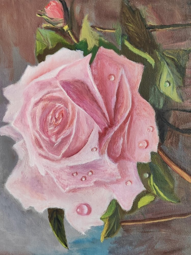 Pink Rose