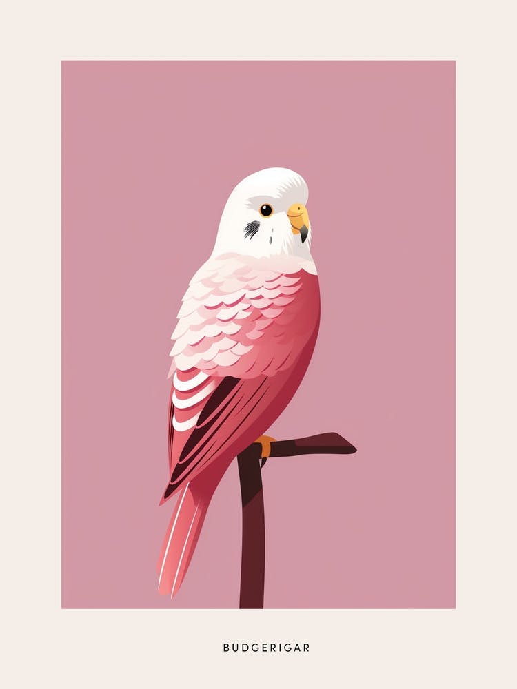 Minimalist Budgerigar 2 Bird Poster