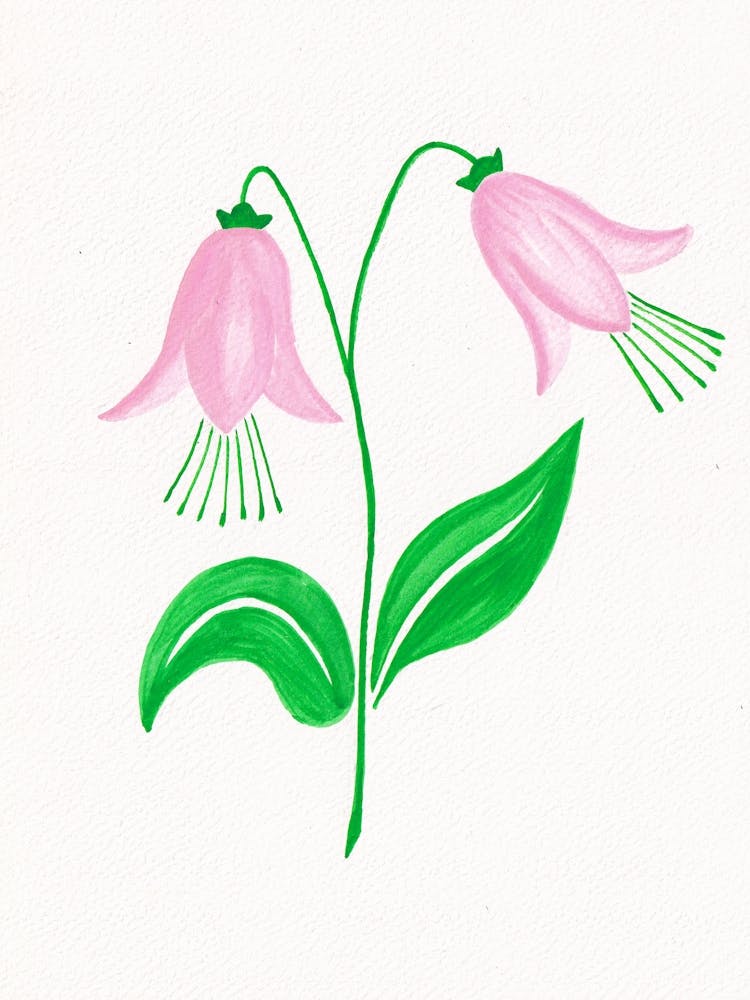 Pink Flowers