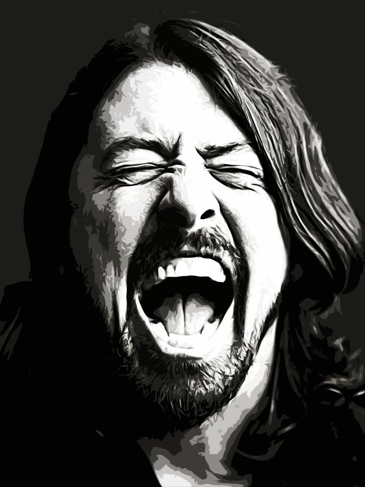 Dave Grohl Foo Fighters 9