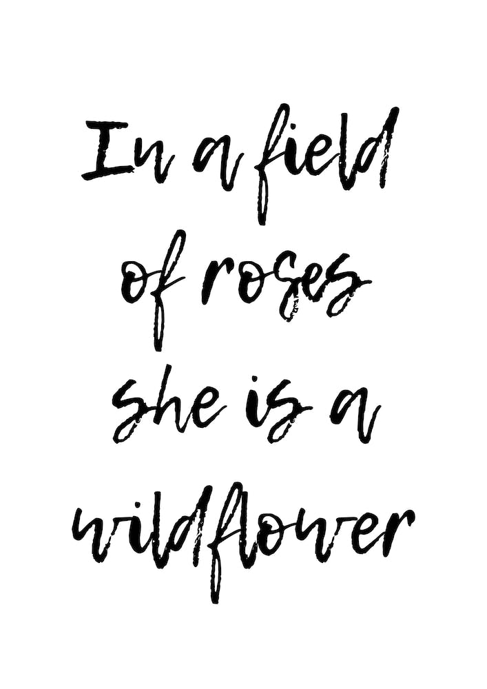 In A Field Of Roses