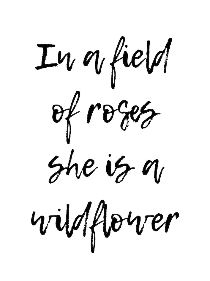 In A Field Of Roses