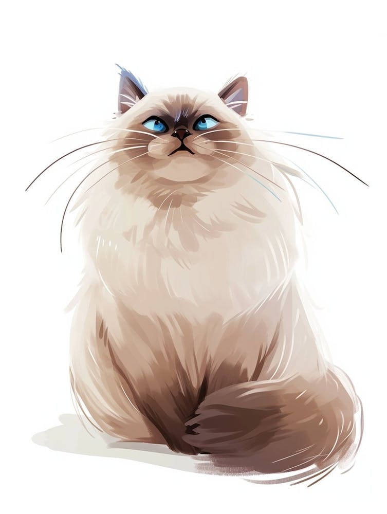 Himalayan Cat Clipart Illustration 3