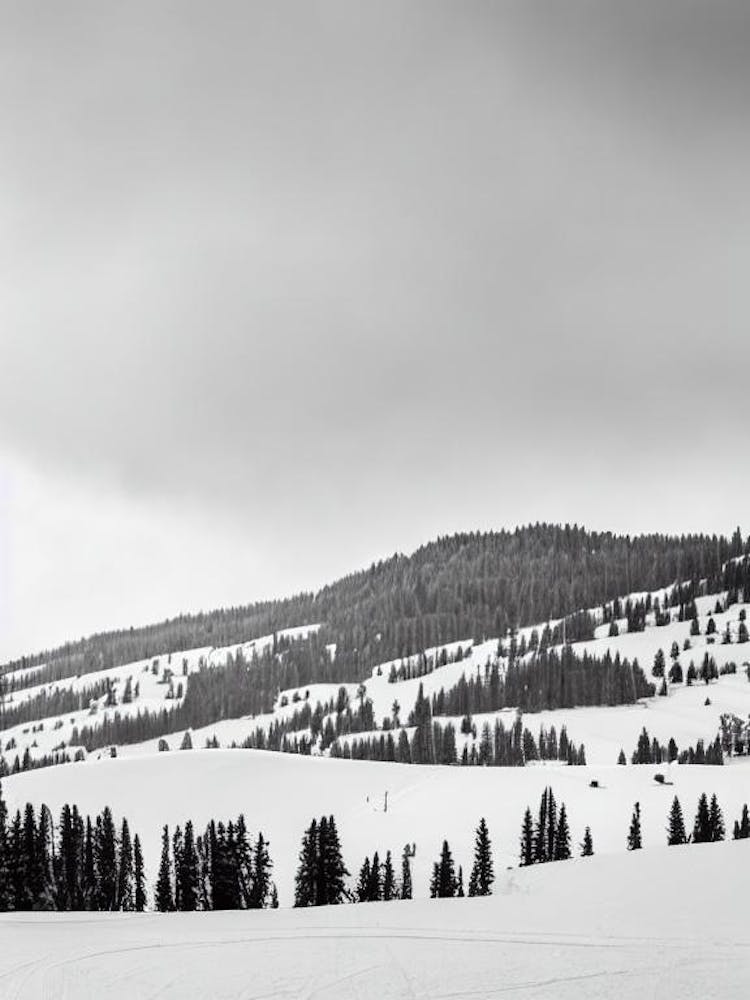 Sun Valley, Usa Black And White Skiing Poster