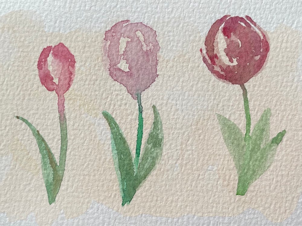 Watercolor Tulips