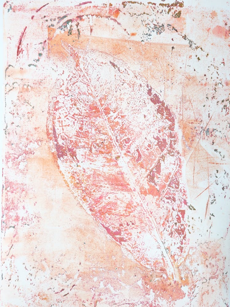 Impression de Feuille Orange et Rose