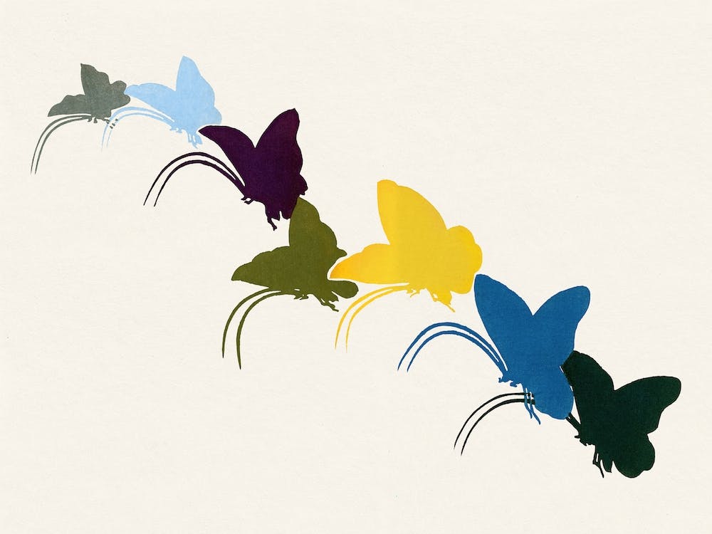 Birds From Momoyogusa –Flowers Of A Hundred Generations, Kamisaka Sekka (14)