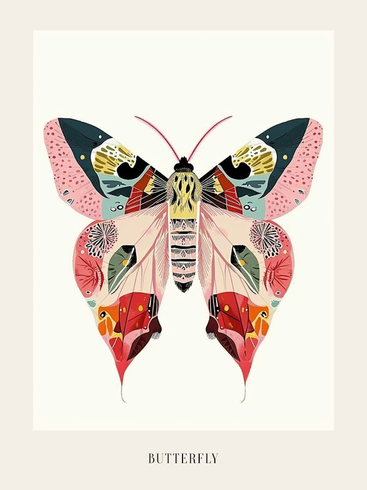 Colourful Insect Illustration Butterfly 23 Poster