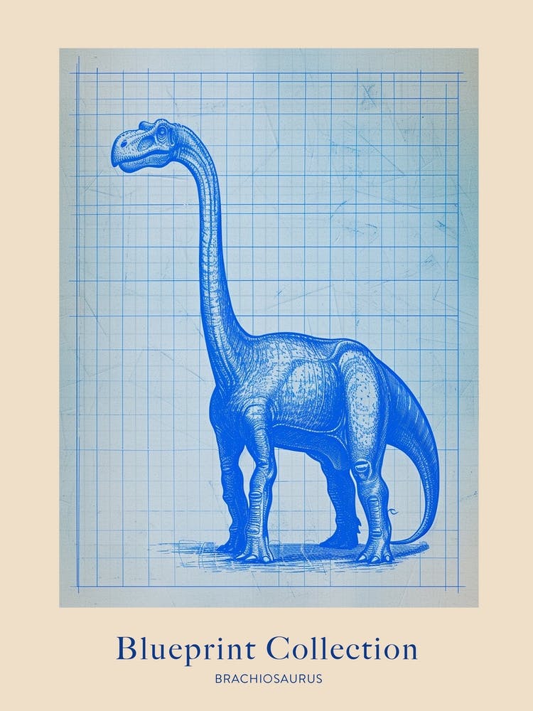 Brachiosaurus Dinosaur Blue Print Sketch 1 Poster